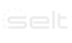Logo Selt Blanco