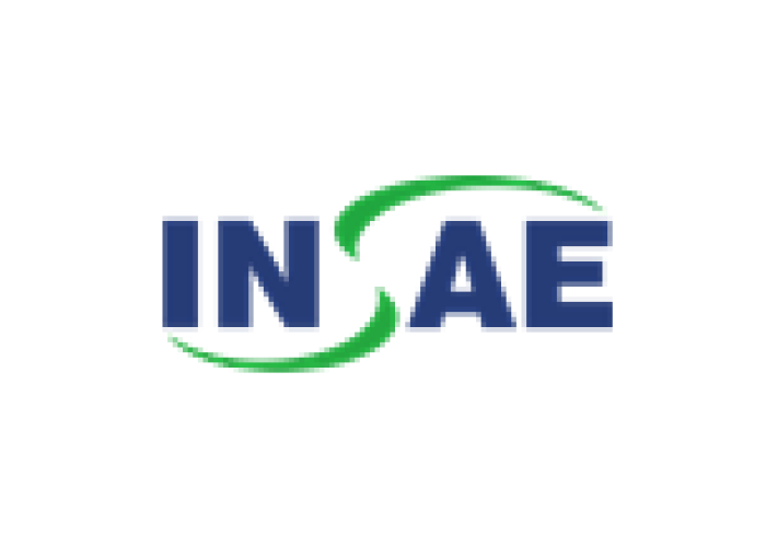 Logo Insae